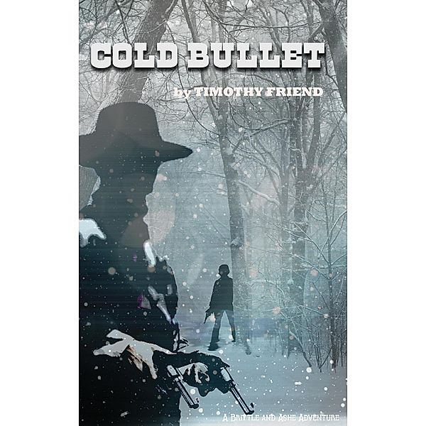 Cold Bullet (Brittle and Ashe, #3) / Brittle and Ashe, Timothy Friend