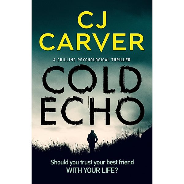 Cold Echo / The Harry Hope Thrillers, CJ Carver