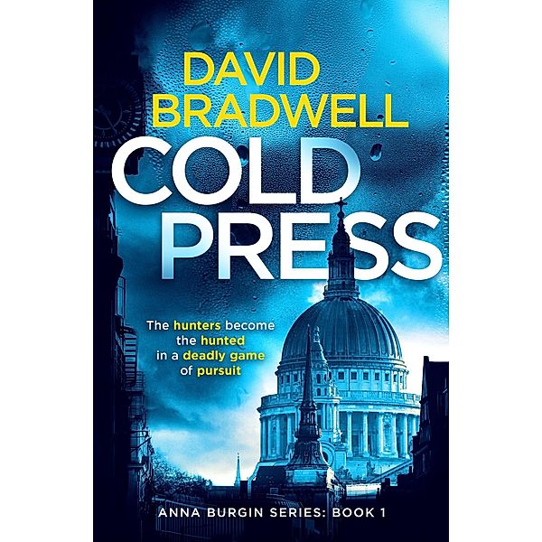 Cold Press - A Gripping British Mystery Thriller (Anna Burgin, #1) / Anna Burgin, David Bradwell