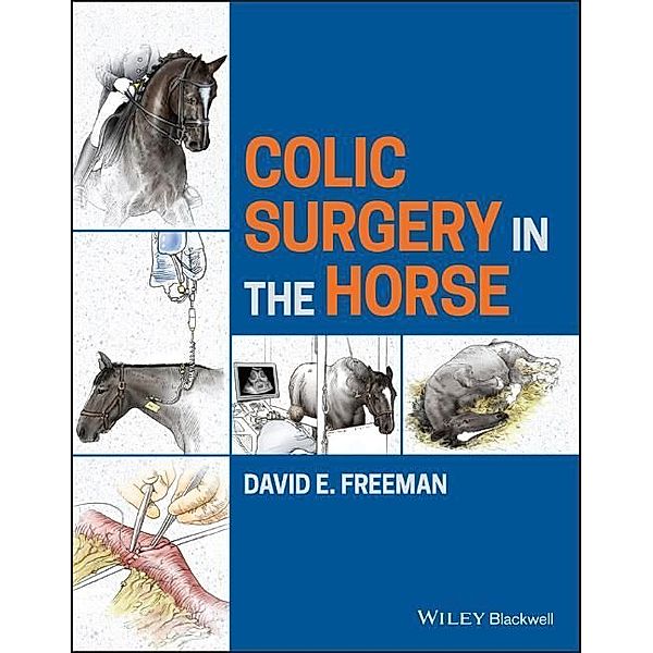 Colic Surgery in the Horse, David E. Freeman