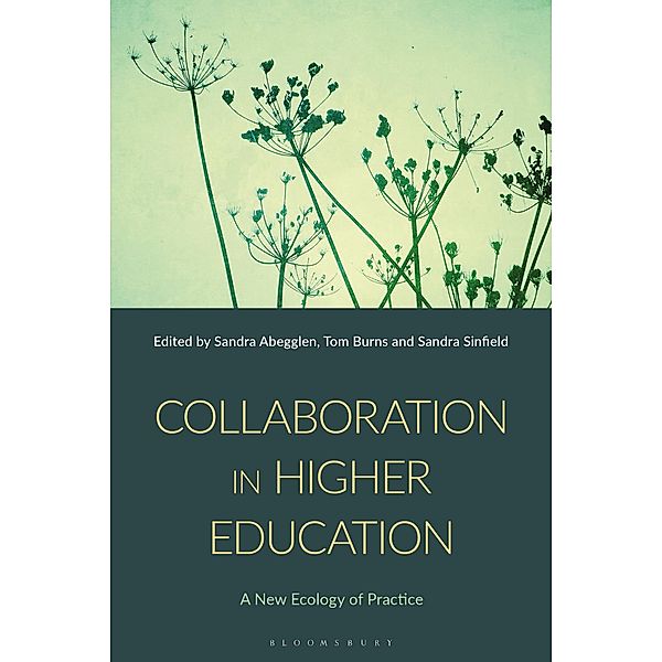 Collaboration in Higher Education