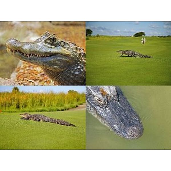 Collage Alligator - 1.000 Teile (Puzzle)