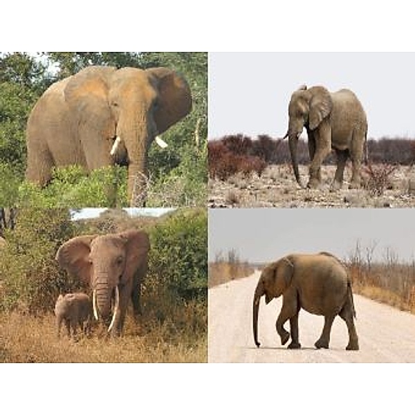 Collage Elefant - 500 Teile (Puzzle)