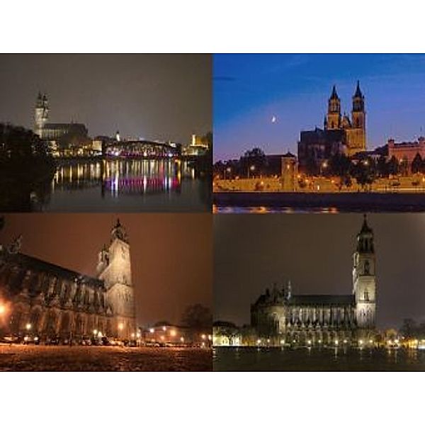 Collage Magdeburg - 2.000 Teile (Puzzle)