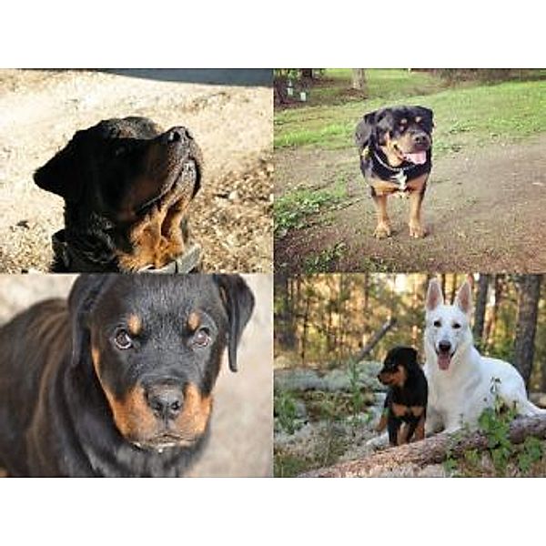 Collage Rottweiler - 1.000 Teile (Puzzle)