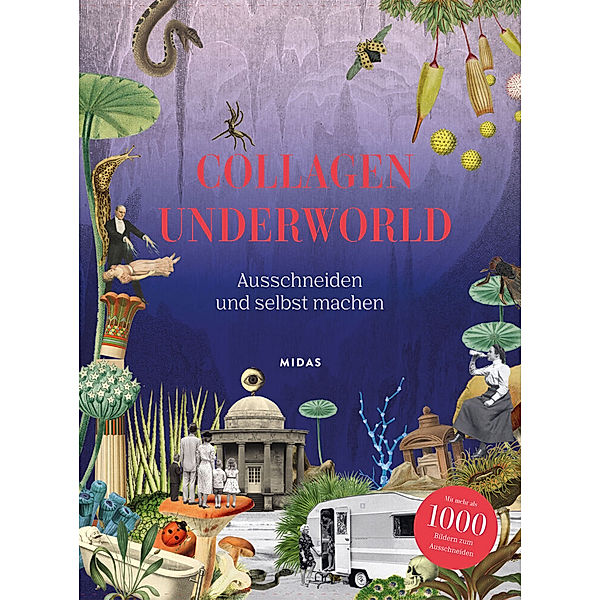 Collagen Underworld, Eliza Scott