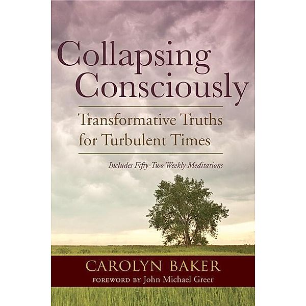 Collapsing Consciously / Sacred Activism Bd.3, Carolyn Baker