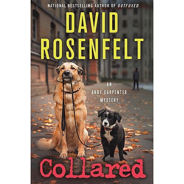 Collared / An Andy Carpenter Novel Bd.15, David Rosenfelt