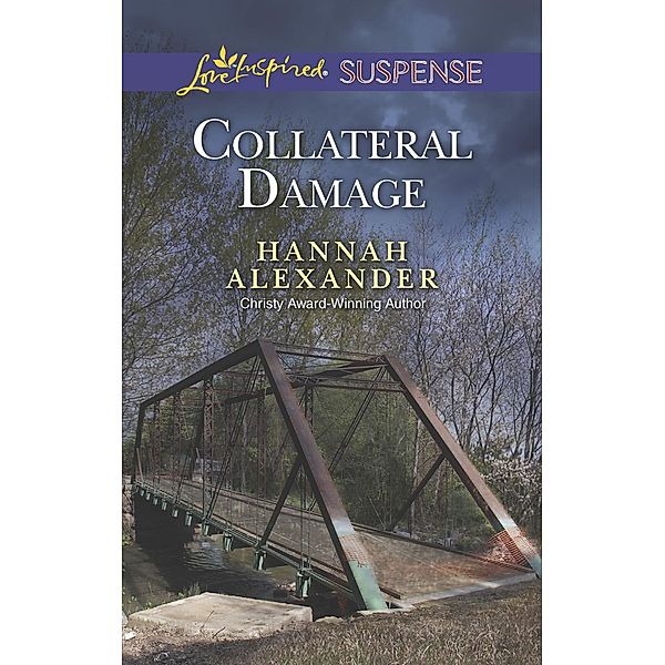 Collateral Damage, Hannah Alexander