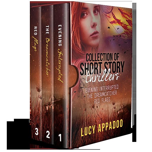 Collection of Short Story Thrillers Evening Interrupted The Dreamcatcher Red Flags / Thriller, Lucy Appadoo