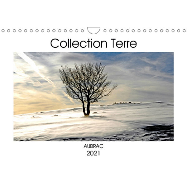 Collection Terre AUBRAC (Calendrier mural 2021 DIN A4 horizontal), Patrice Thébault