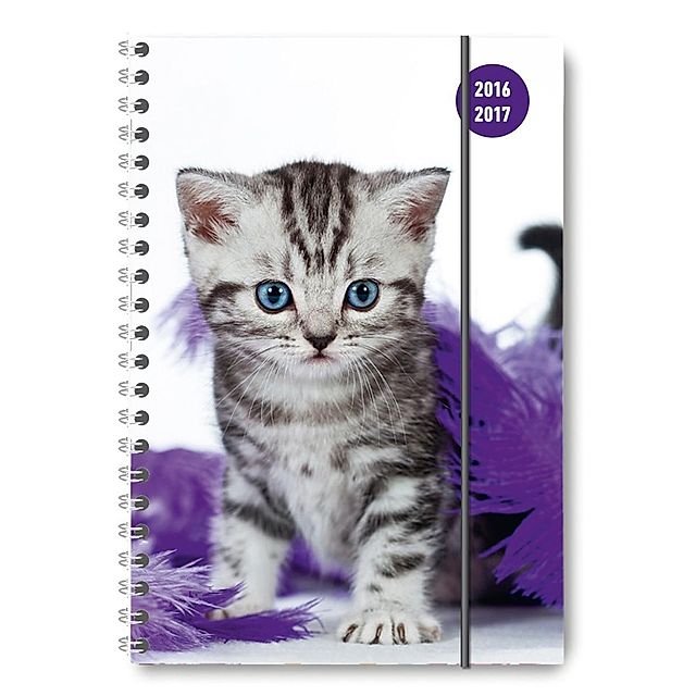 Collegetimer A5 Cat 2016 2017 - Ringbuch - Kalender bestellen