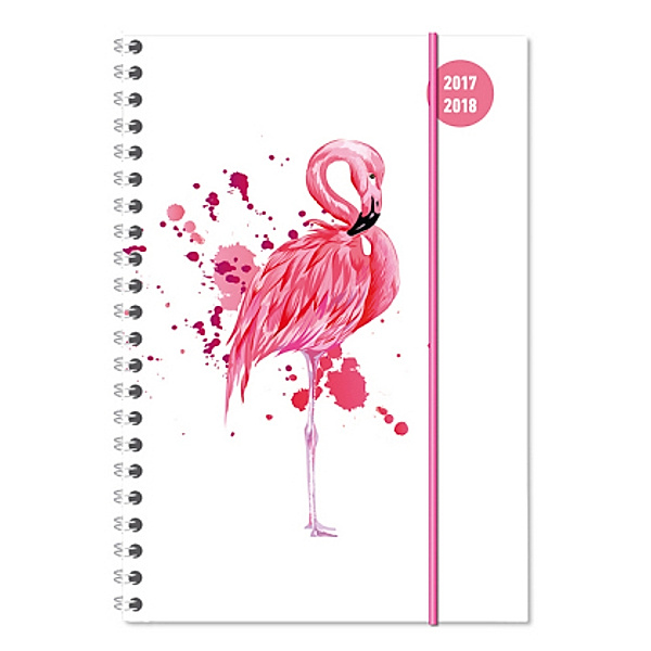 Collegetimer Flamingo 2017/2018 - Schülerkalender A5 - Weekly