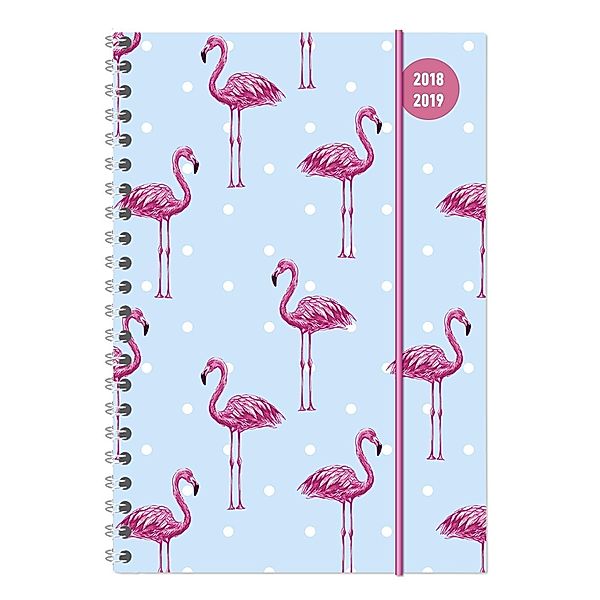 Collegetimer Flamingo Ringbuch 2018/2019 - Schülerkalender A5 - Weekly, ALPHA EDITION