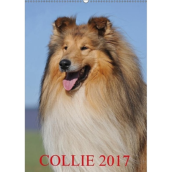 Collie 2017 (Wandkalender 2017 DIN A2 hoch), Sigrid Starick