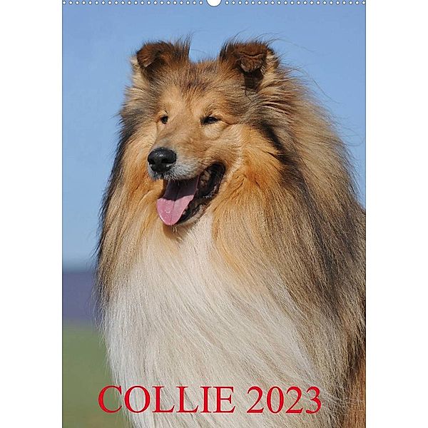Collie 2023 (Wandkalender 2023 DIN A2 hoch), Sigrid Starick