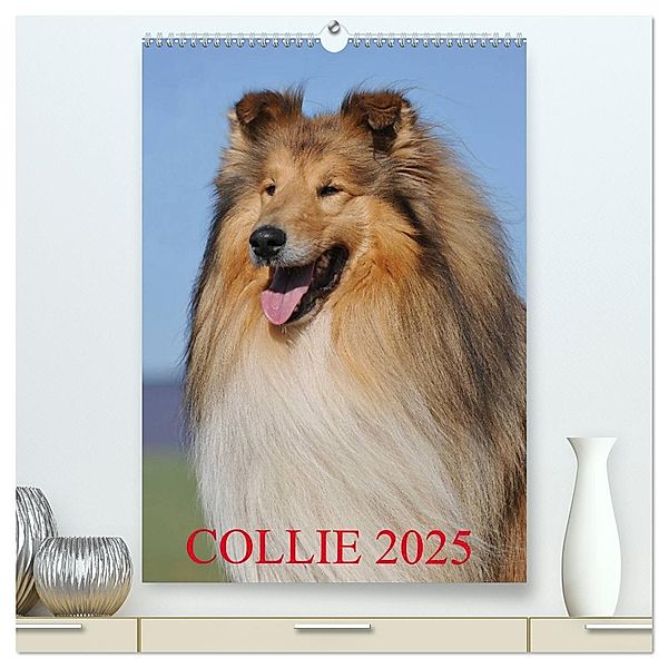 Collie 2025 (hochwertiger Premium Wandkalender 2025 DIN A2 hoch), Kunstdruck in Hochglanz, Calvendo, Sigrid Starick