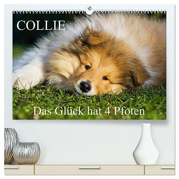Collie - Das Glück hat 4 Pfoten (hochwertiger Premium Wandkalender 2024 DIN A2 quer), Kunstdruck in Hochglanz, Sigrid Starick