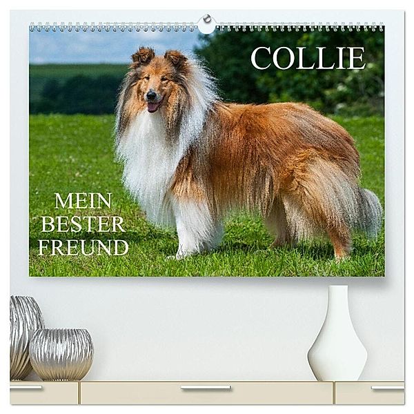 Collie - Mein bester Freund (hochwertiger Premium Wandkalender 2024 DIN A2 quer), Kunstdruck in Hochglanz, Sigrid Starick
