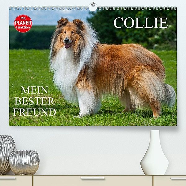 Collie - Mein bester Freund (Premium, hochwertiger DIN A2 Wandkalender 2023, Kunstdruck in Hochglanz), Sigrid Starick