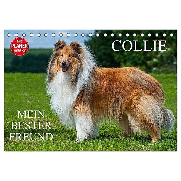 Collie - Mein bester Freund (Tischkalender 2024 DIN A5 quer), CALVENDO Monatskalender, Sigrid Starick