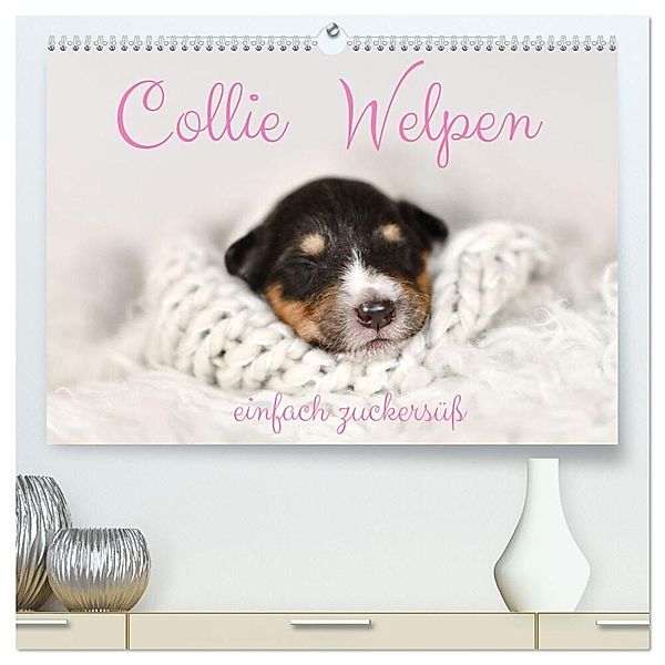 Collie Welpen einfach zuckersüss (hochwertiger Premium Wandkalender 2024 DIN A2 quer), Kunstdruck in Hochglanz, Yvonne Janetzek