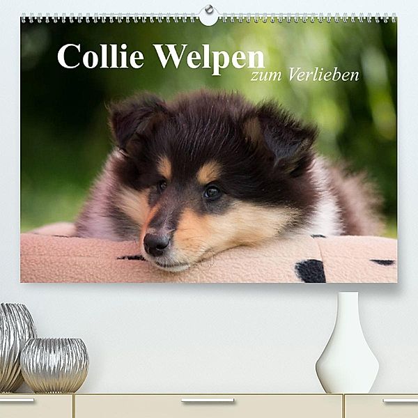 Collie Welpen zum Verlieben (Premium, hochwertiger DIN A2 Wandkalender 2023, Kunstdruck in Hochglanz), Thomas Quentin