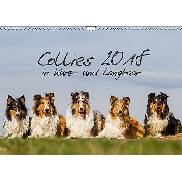 Collies 2018 in Kurz- und Langhaar (Wandkalender 2018 DIN A3 quer) Dieser erfolgreiche Kalender wurde dieses Jahr mit gl, Christine Hemlep