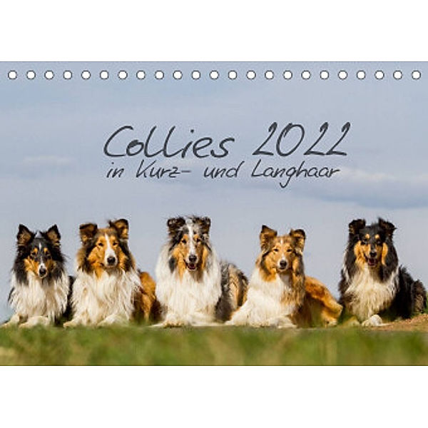 Collies 2022 in Kurz- und Langhaar (Tischkalender 2022 DIN A5 quer), Christine Hemlep