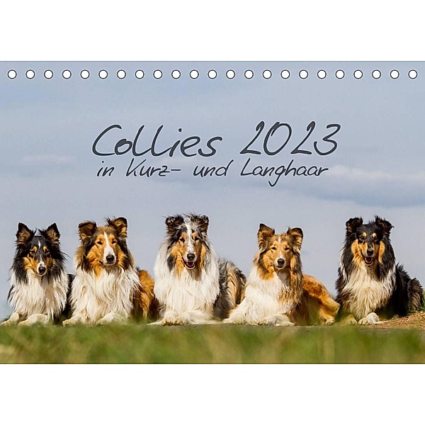 Collies 2023 in Kurz- und Langhaar (Tischkalender 2023 DIN A5 quer), Christine Hemlep