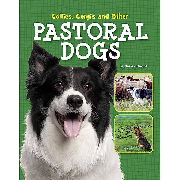 Collies, Corgis and Other Pastoral Dogs, Tammy Gagne