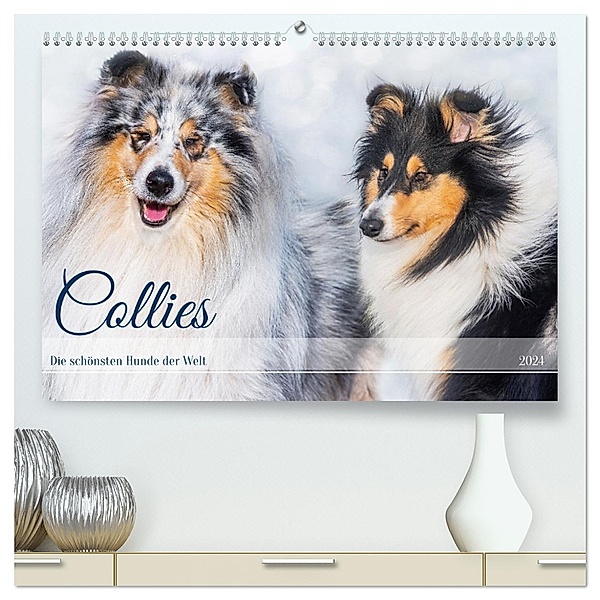 Collies - die schönsten Hunde der Welt (hochwertiger Premium Wandkalender 2024 DIN A2 quer), Kunstdruck in Hochglanz, Calvendo, Sigrid Starick