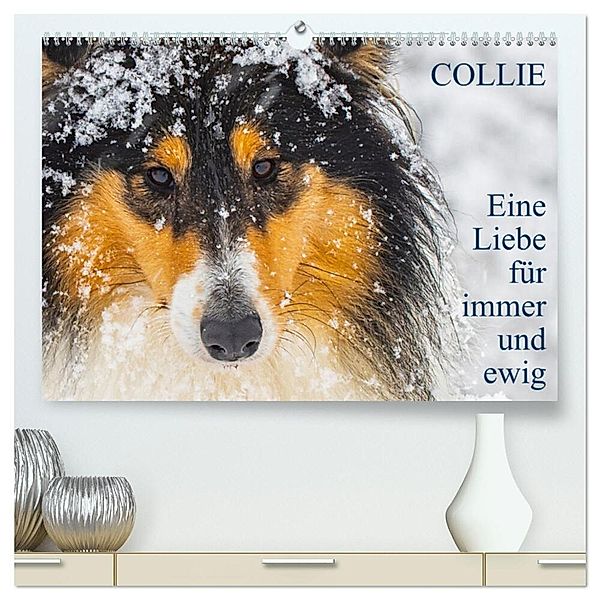 Collies - Eine Liebe für immer und ewig (hochwertiger Premium Wandkalender 2024 DIN A2 quer), Kunstdruck in Hochglanz, Sigrid Starick