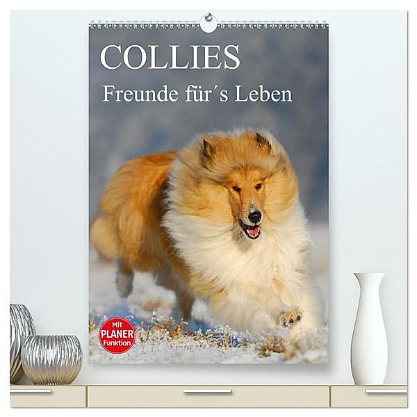 Collies - Freunde für´s Leben (hochwertiger Premium Wandkalender 2024 DIN A2 hoch), Kunstdruck in Hochglanz, Sigrid Starick