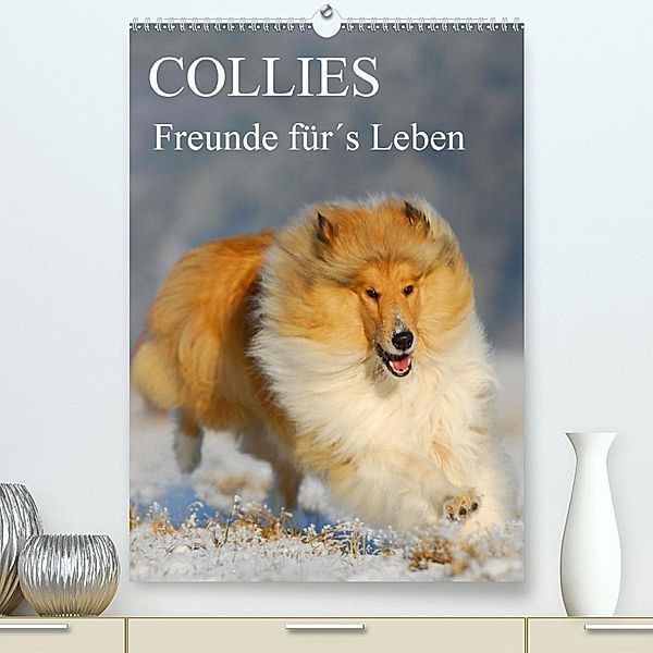Collies - Freunde für's Leben (Premium-Kalender 2020 DIN A2 hoch), Sigrid Starick