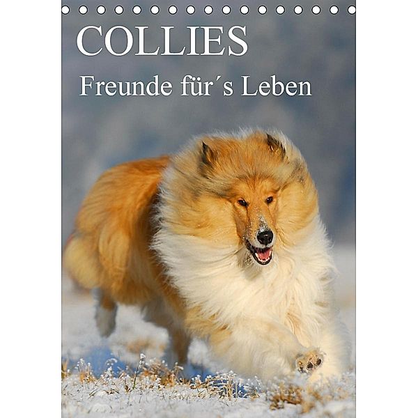 Collies - Freunde für´s Leben (Tischkalender 2021 DIN A5 hoch); ., Sigrid Starick