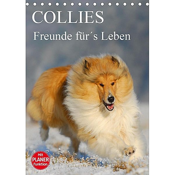 Collies - Freunde für´s Leben (Tischkalender 2021 DIN A5 hoch), Sigrid Starick