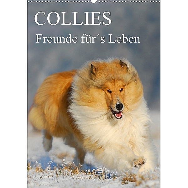 Collies - Freunde für's Leben (Wandkalender 2018 DIN A2 hoch), Sigrid Starick