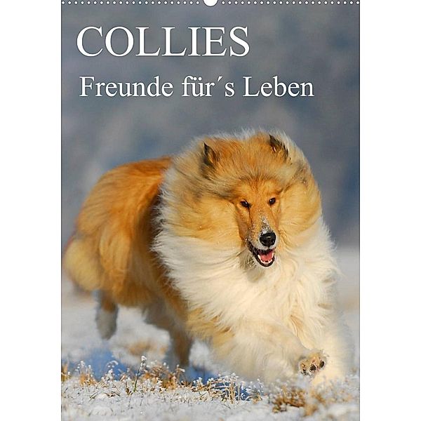 Collies - Freunde für´s Leben (Wandkalender 2023 DIN A2 hoch), Sigrid Starick