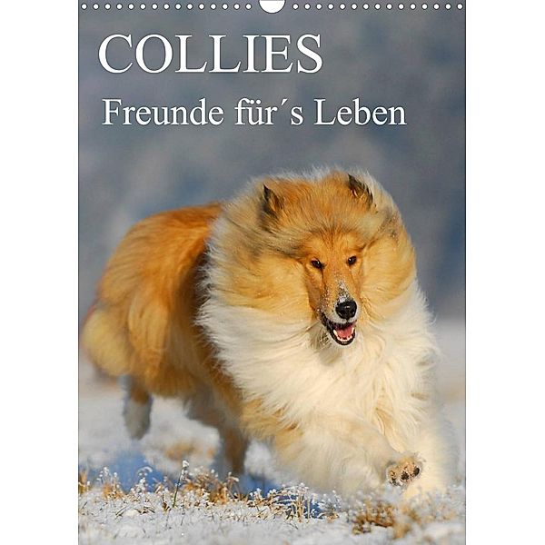 Collies - Freunde für´s Leben (Wandkalender 2023 DIN A3 hoch), Sigrid Starick
