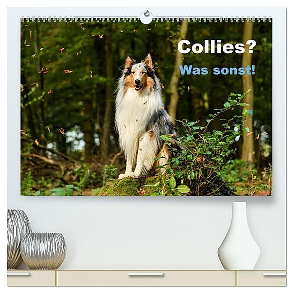 Collies? Was sonst! (hochwertiger Premium Wandkalender 2024 DIN A2 quer), Kunstdruck in Hochglanz, Yvonne Janetzek