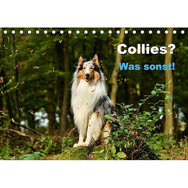 Collies? Was sonst! (Tischkalender 2021 DIN A5 quer), Yvonne Janetzek