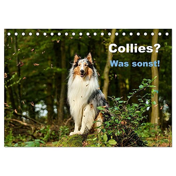 Collies? Was sonst! (Tischkalender 2024 DIN A5 quer), CALVENDO Monatskalender, Yvonne Janetzek