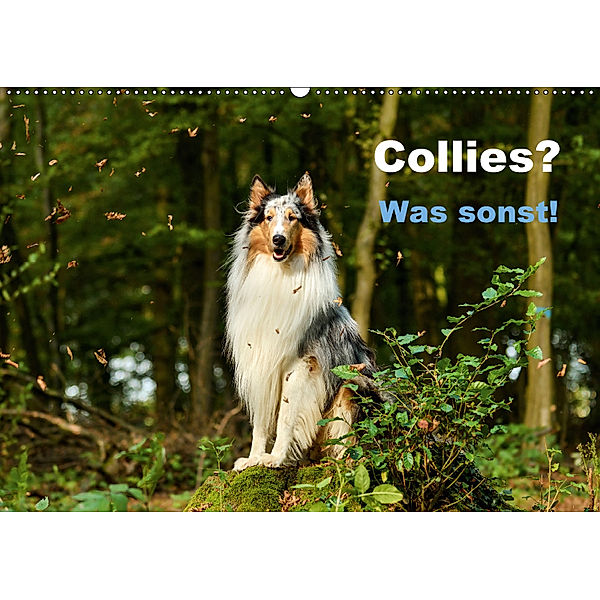 Collies? Was sonst! (Wandkalender 2018 DIN A2 quer), Yvonne Janetzek