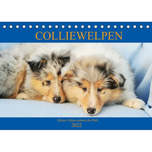 Colliewelpen - kleine Collies erobern die Welt (Tischkalender 2022 DIN A5 quer), Sigrid Starick