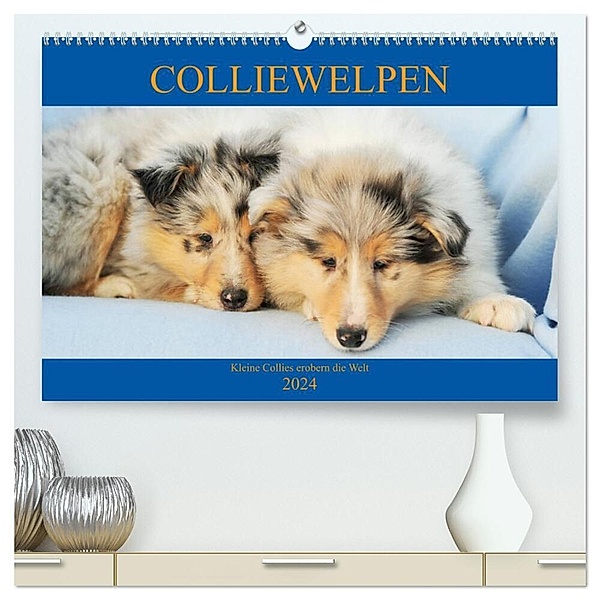Colliewelpen - kleine Collies erobern die Welt (hochwertiger Premium Wandkalender 2024 DIN A2 quer), Kunstdruck in Hochglanz, Sigrid Starick