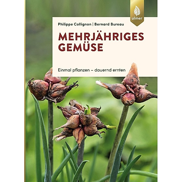 Collignon, P: Mehrjähriges Gemüse, Philippe Collignon, Bernard Bureau