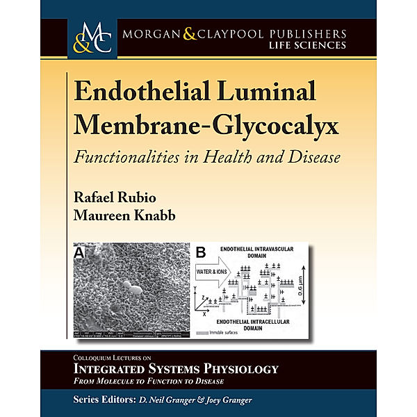 Colloquium Series on Integrated Systems Physiology: From Molecule to Function to Disease: Endothelial Luminal Membrane-Glycocalyx, Rafael Rubio, Maureen Knabb