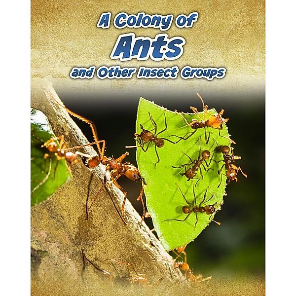 Colony of Ants, Anna Claybourne