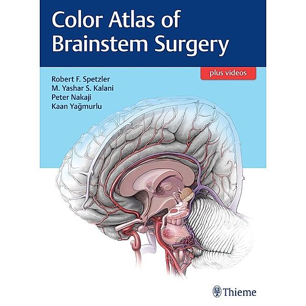 Color Atlas of Brainstem Surgery